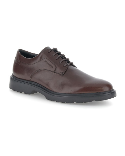 Stonefly stringate uomo Forever 2 in pelle brown 221669 316