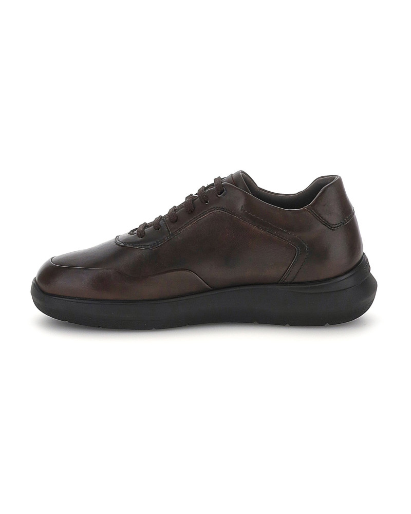 Stonefly sneakers uomo Seven Season 8 in nappa brown 223008